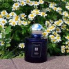 Jo Malone London Moonlit Camomile 